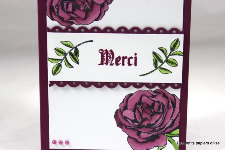 Merci Pour Les Epines Merci Pour Les Roses Carte merci roses aux blends - Les petits papiers d'Ilse