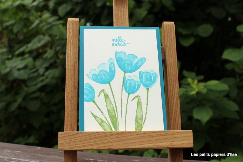 Photo de la carte tulipes indigo