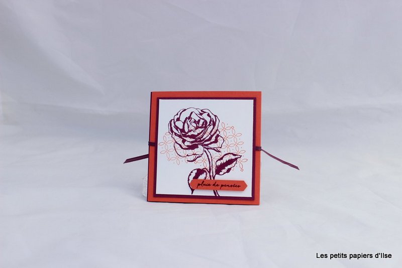 Photo du mini-album à la rose