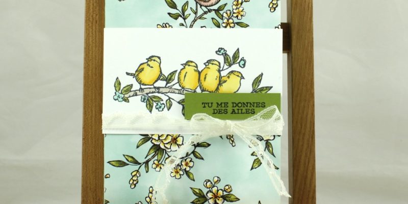 Photo de la carte Ballade des oiseaux