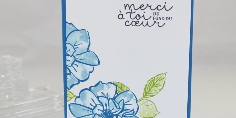 Photo de la carte du blog hop nouveautés des stampins girls