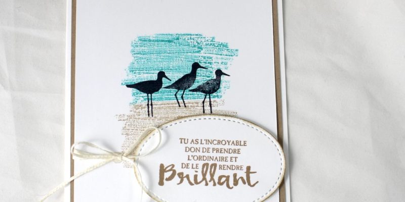 Photo de la carte à marée haute