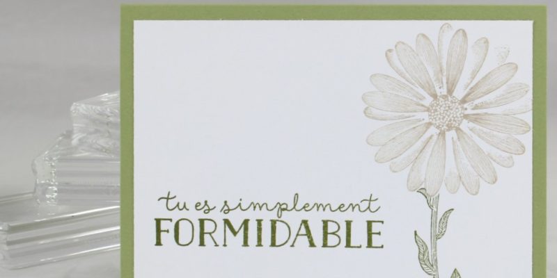 Photo de la carte Marguerite blanche