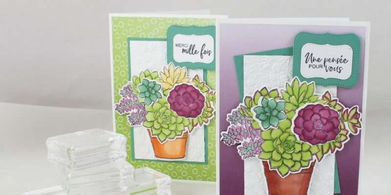 Photo de ma carte aux succulentes colorées