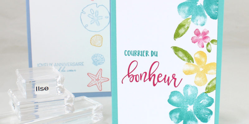 photo des bases de la carterie : inspiration et adhésifs