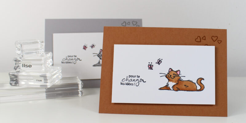 Photo de ma carte au mignon matou
