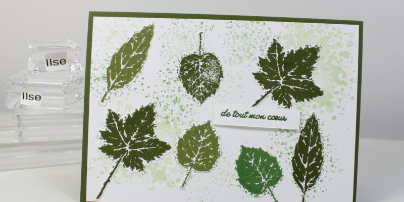 Photo de ma carte aux feuilles vertes