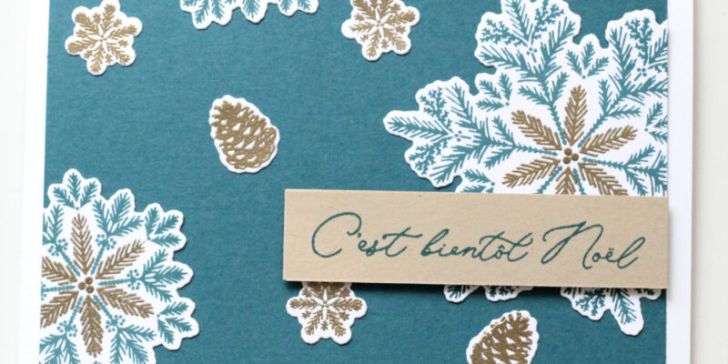 Photo de ma carte pour les exclusivités en ligne d'hiver