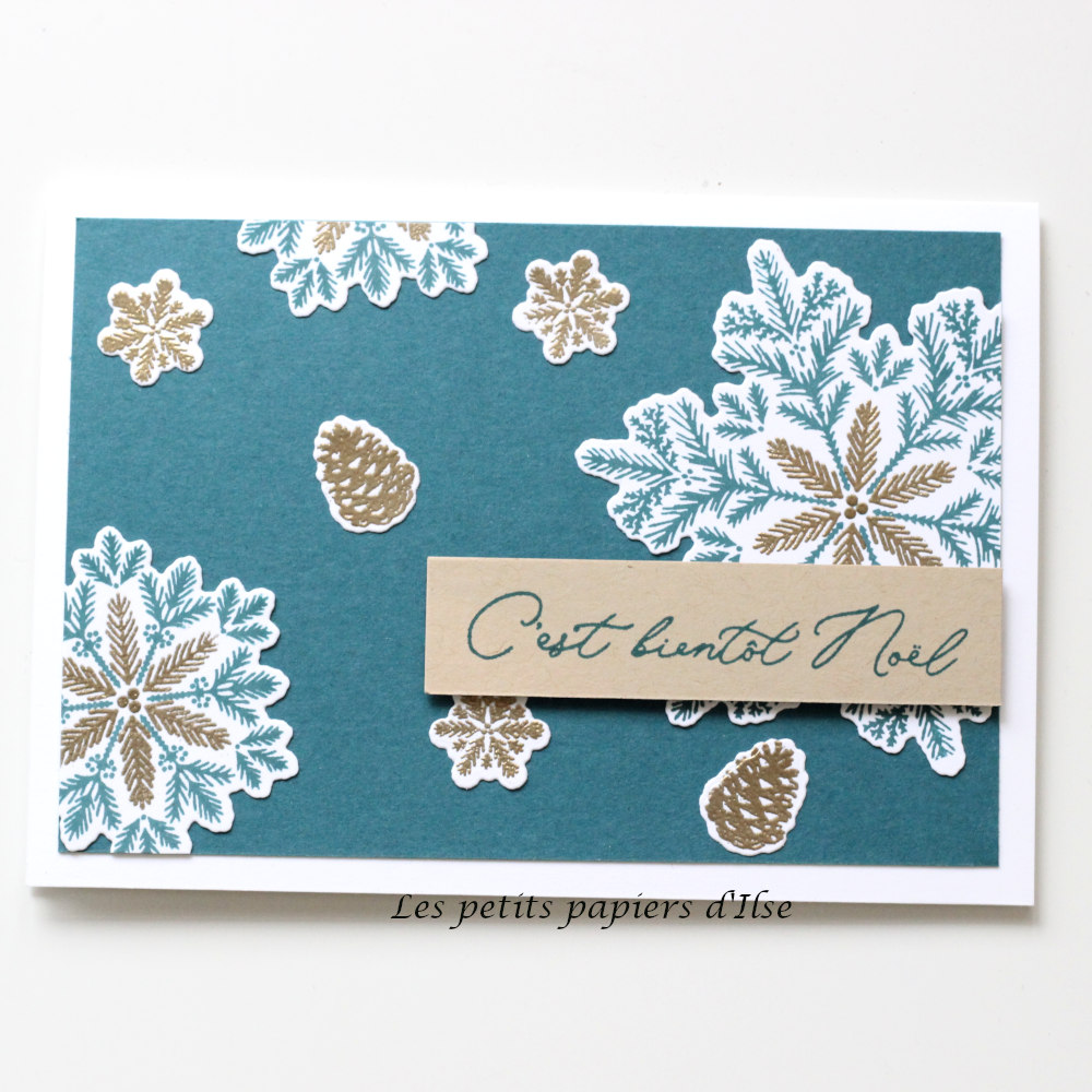 Photo de ma carte pour les exclusivités en ligne d'hiver