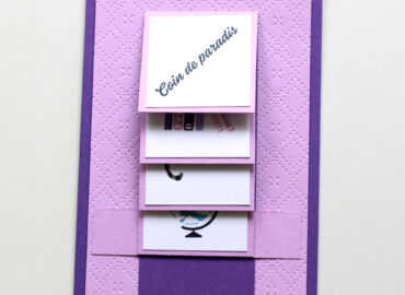 Photo de ma participation au SIE de février