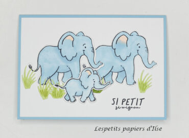 Ma carte pour le nouveau catalogue, le blog hop de SIE