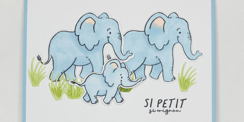 Ma carte pour le nouveau catalogue, le blog hop de SIE