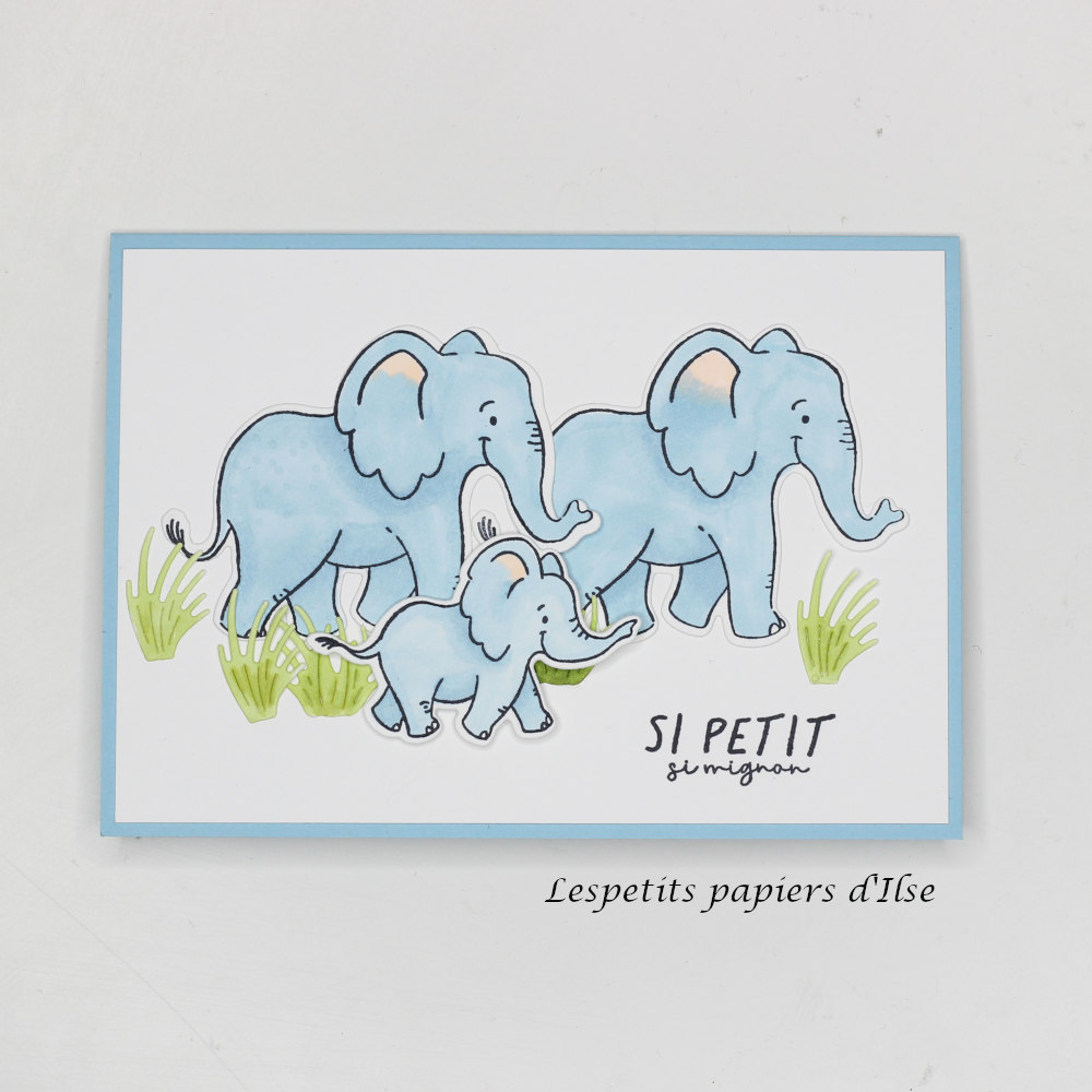 Ma carte pour le nouveau catalogue, le blog hop de SIE